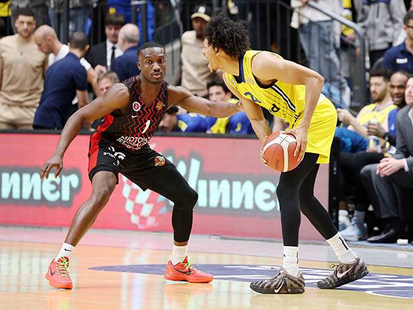 (צילום: אלן שיבר)