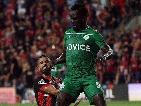 (ברני ארדוב)