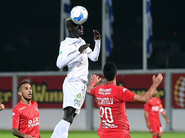 (ברני ארדוב)