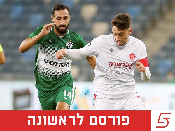 (אלן שיבר)