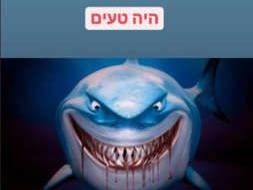 הפוסט של אראל (צילום מסך: מתוך אינסטגרם)