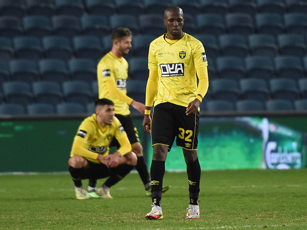 (ברני ארדוב)