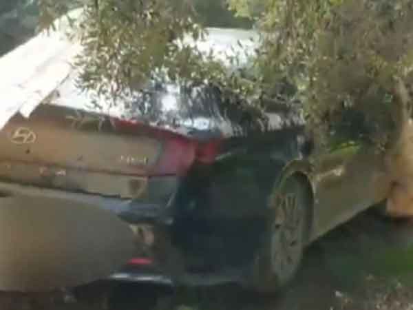 הרכב בפרדס בפזורה הבדואית (צילום מסך)