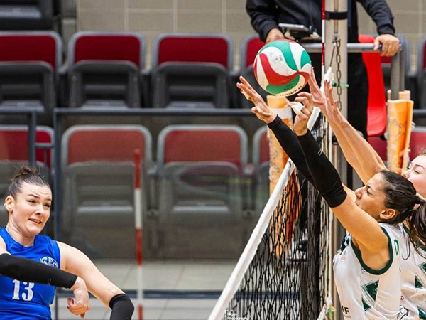 כפ“ס מסמנת וי על אתא (צילום: דוד ימליאנוב)