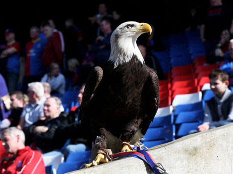 ואילו הנשר של הנשרים סיפק את ההפתעה (GETTYIMAGES)