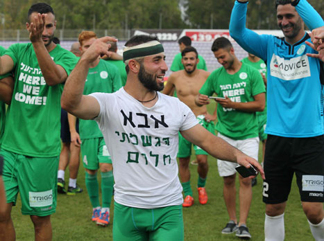 הירוקים הגשימו חלום (אלן שיבר)