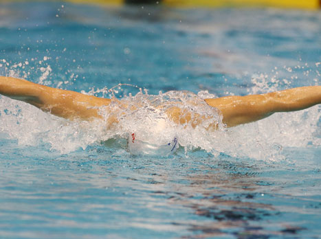 ההתרגשות בעיצומה (אלן שיבר)