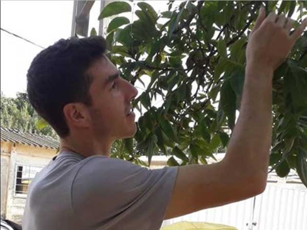 עוזר בקטיף