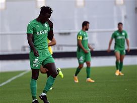 (ברני ארדוב)