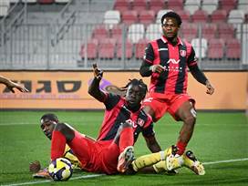 (ברני ארדוב)