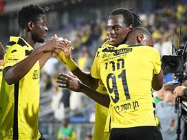 (ברני ארדוב)