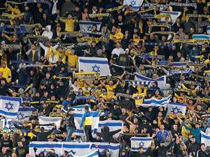 הקהל הצהוב (אלן שיבר)