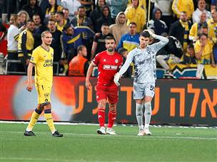 העונש בדרך? (אלן שיבר)