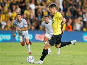 ניקולאסקו הצליח לצמק בפנדל (צילום: אלן שיבר)