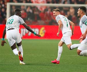 עם שער גדול של אצילי (צילום: אלן שיבר)