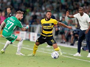 יאנג בויז עמדה היטב (צילום: אלן שיבר)