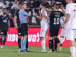 חלוקה הוגנת (מאור אלקסלסי)