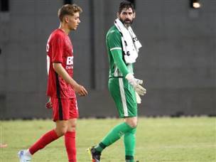 (אודי ציטיאט)