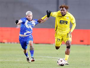 הנטי. מהפעילים על כר הדשא (אלן שיבר)