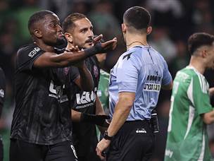 המהומה על השער שנפסל (מאור אלקסלסי)