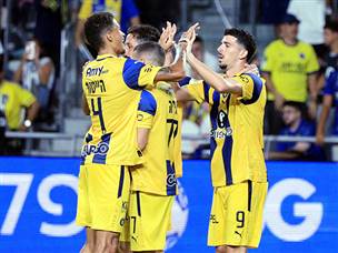 ותורג`מן הכפיל (אלן שיבר)