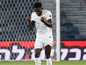 יופי של שער (ברני ארדוב)