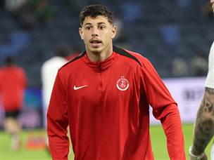 אבל מנגד עמדה הפועל ת“א (צילום: דני מרון)