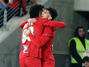 אלקוקין כבש ראשון (אלן שיבר)