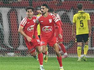 והמהפך (ברני ארדוב)