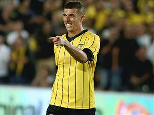 צמד של ורד לא הספיק (אלן שיבר)