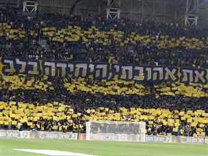 גמר ביתי. אוהדי בית"ר (אלן שיבר)