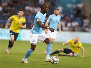 בגלל השיטה, למגינים של הנבחרת היה הרבה חופש פעולה (אלן שיבר)