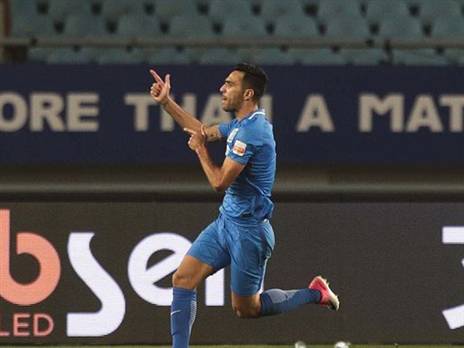 מתאים לאריות אירופה? זהבי. (רועי תדמור)