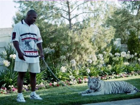 רכש נמרים. באמת. טייסון