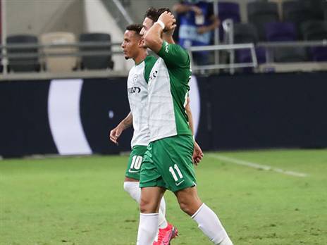 לשועה יש סיבה לתפוס את הראש (אלן שיבר)