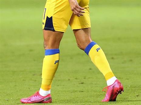 (צילום: אלן שיבר)