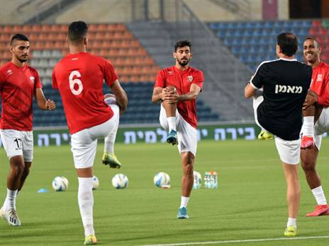 (ברני ארדוב)