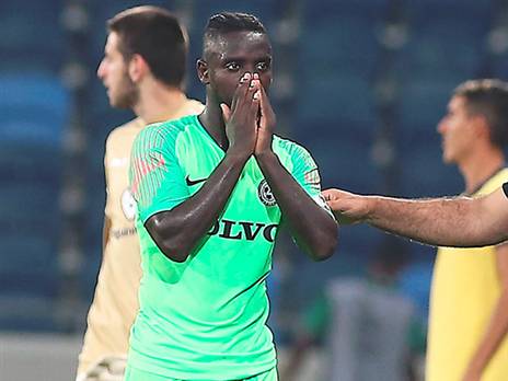 סלליך בדרך החוצה (אלן שיבר)