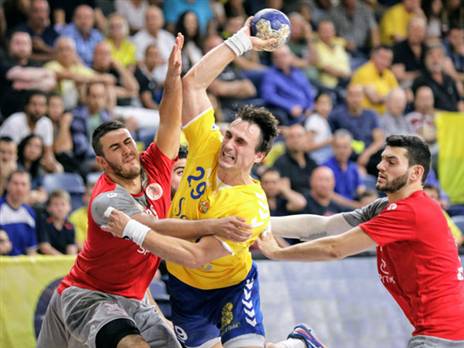 (הדר ואן קולא, איגוד הכדוריד)