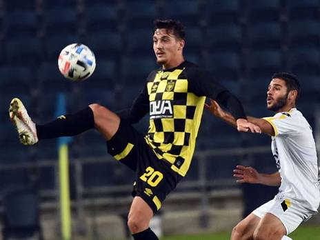 שועה. מוקדם לשפוט (ברני ארדוב)