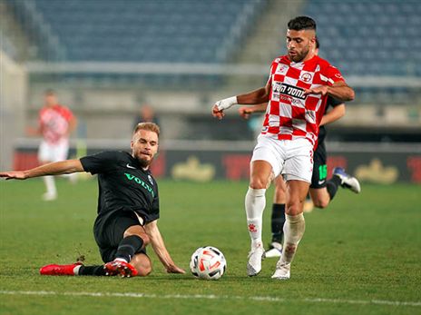 הנתונים האשייים מרשימים (אלן שיבר)