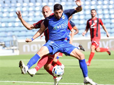 חם בטדי (ברני ארדוב)