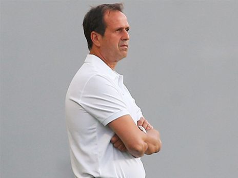 לוי, קיץ עמוס (אלן שיבר)