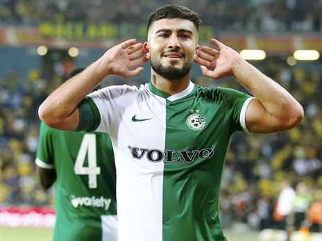 אבו פאני. שער גדול (אלן שיבר)