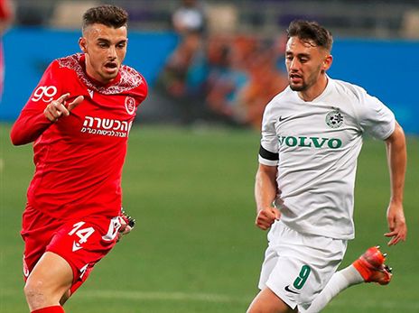 גרופר. עדיין מחפש קבוצה בחו"ל (אלן שיבר)