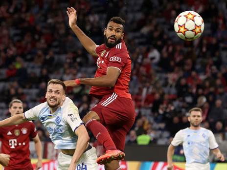 תצוגת תכלית של הבווארים. צ'ופו מוטינג (getty)