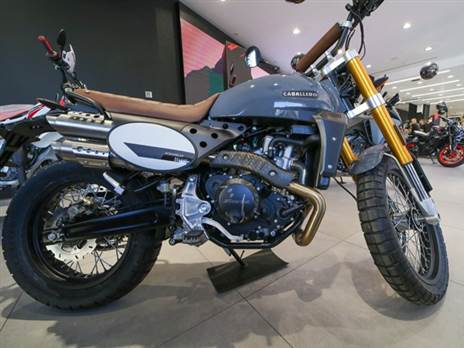 (רונן טופלברג)