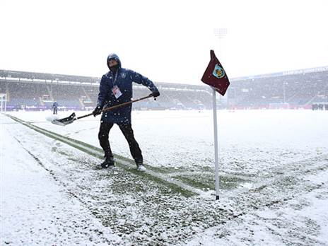 טרף מור נצבע לבן (GETTY)