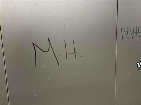 הוונדליזם בבלומפילד