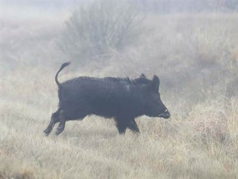 רק צריך להבין איך גורמים להם לחכות לנו בסיום ליד היציע (Getty)